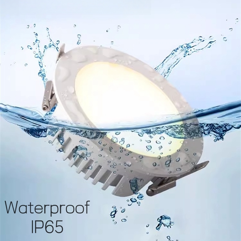 Outdoor LED waterdichte downli - Outdoor Lighting Under Roof recensie en prijs
