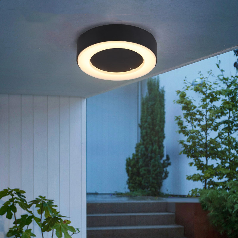 Ronde/Ovale Led Vocht Proof Pl - Outdoor Lighting Under Roof recensie en prijs